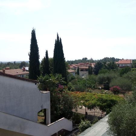 Villa Carolina Tar-Vabriga Ngoại thất bức ảnh